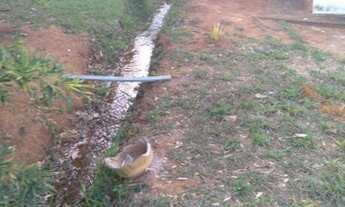 Imagem 5: Linda chácara perfeita para você