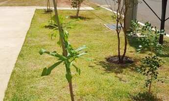 Imagem 4: Casa de condomínio para venda tem 64 metros quadrados com 2 quartos