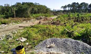 Imagem 2: Lotes em mongaguá - SP