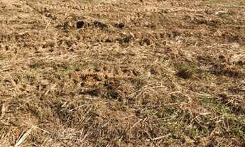 Imagem 6: Lote/Terreno para venda tem 1000 metros quadrados com 1 quarto em Recanto das Águas - Igar