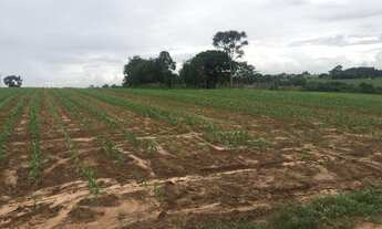 Imagem 2: Tatui-Sp, Sitio 6 Alqueires, Oportunidade