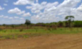 Imagem 3: Terrenos Rurais com muita natureza em Matozinhos/MG