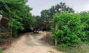 Imagem 2: Casa de campo ( condomínio