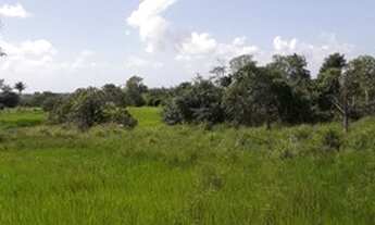 Imagem 5: Excelente propriedade em Gloria do Goitá-PE