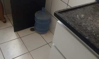 Imagem 3: ALUGO APTO,CONDOMINIO D,ITALY ARIRIZAL