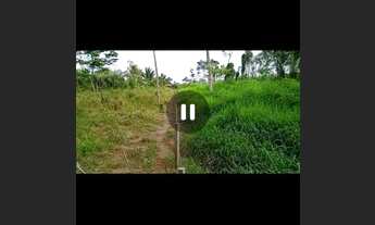 Imagem 4: Fazenda 120 alqueires! 25 km da BR transamazônica.? Pacajá..