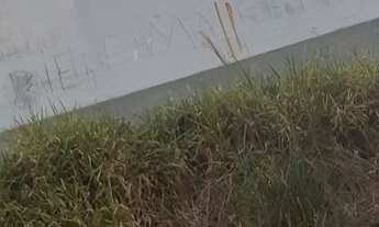 Imagem 2: Vendeu apartamento no condominio araucarias (leia descricao