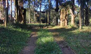 Imagem: Chacara Estrada Sanga Funda Nova Santa Rita