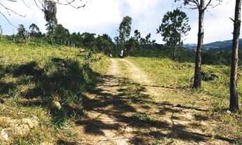Imagem 5: Fazenda/Sítio/Chácara para venda possui 600 metros quadrados com 3 quartos