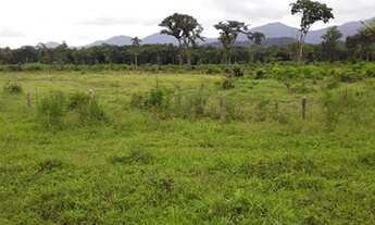 Imagem 6: Vende se uma Fazenda 60 Alq. em Guaraqueçaba e um Sitio em Paranaguá 14 Alq