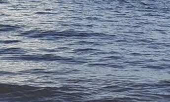 Imagem 2: Aluguel de casa Casa com 2 dormitórios