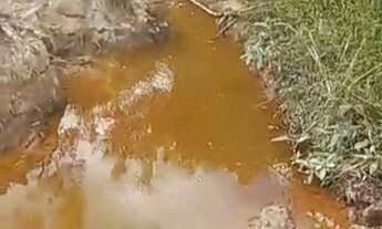 Imagem 6: Fazenda com casa sede e casa de caseiro à venda