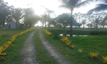 Imagem 2: Fazenda/Sítio/Chácara para venda com 38 metros quadrados com 3 quartos