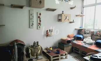 Imagem: São Paulo - Apartamento Padrão - Bela