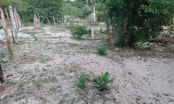 Imagem 5: Terreno ATINS - MA