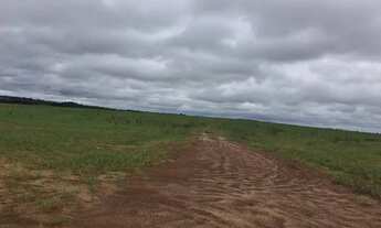 Imagem 3: Fazenda a venda em Goiatins - TO