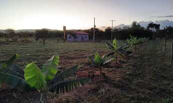 Imagem: Vendo chácara em Planaltina Go. 1 hectare