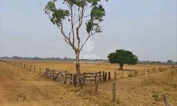 Imagem 3: Fazenda em São Felix do Araguaia com 83.346 hectares sendo 30 mil ha agricultavel codigo