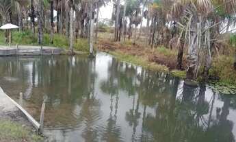 Imagem 3: Vende-se ou troca por carro com volta.pra mim