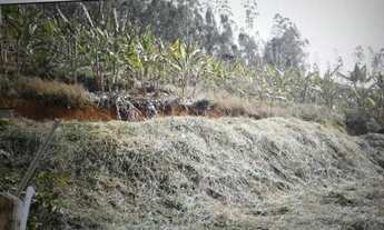 Imagem 3: Terreno no centro de Matilde