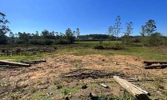 Imagem 3: Fazenda/Sítio/Chácara para venda tem 50000 metros quadrados em Área Rural de Taquara - Taq