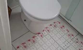 Imagem 5: Apartamento Semimobiliado, 02 dormitórios, bairro Bom Viver, Biguaçu