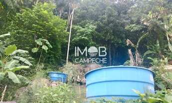 Imagem 5: Casa à venda por R$ 5.000.000 - Rio Tavares - Florianópolis/SC