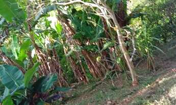 Imagem 5: Sitio a venda Chácara com venda por R$350.000