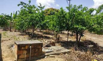 Imagem 4: Vendo sítio em Itaporanga