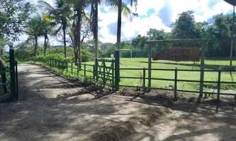 Imagem 3: Chácara em Chã Grande