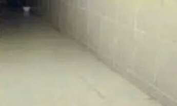 Imagem 7: Sobrado grande + 1 kit net no terraço jd. Tropical