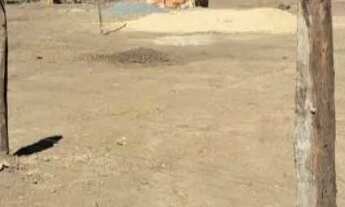 Imagem 3: Chácara Chácara com venda por R$90.000