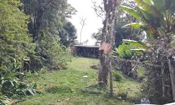 Imagem 3: Vendo chácara na Br 277 em sjp