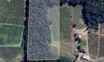 Imagem 2: Sítio com 2 Hectares e Parreiral no interior de Flores da Cunha - RS