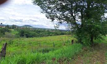 Imagem 3: Area Rural 15,5 Hectares Castelo Branco /Poranga/SP