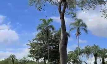 Imagem 6: Fazenda cultura 614 hectares completa negocio aceito trocas