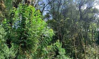 Imagem 2: VIVENDAS DO ARVOREDO