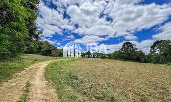 Imagem 7: CHÁCARA AMPLA EM CAMPO LARGO