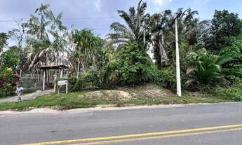 Imagem 4: Vende-se o Sítio São José de Ribamar: Um Paraíso Tropical na AM 010, Km 112