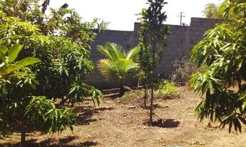 Imagem 2: Terreno a Venda localizado no Bairro Cis em Feira de Santana