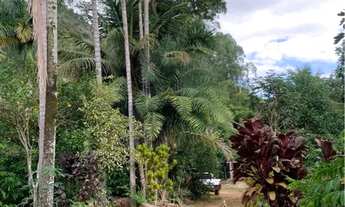 Imagem 3: Sítio em Boa Conserva próximo a Burarama