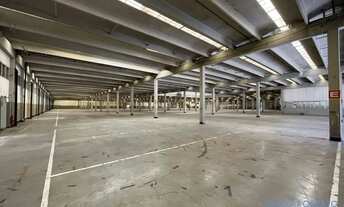 Imagem 3: GALPÃO - SANTO AMARO - SP