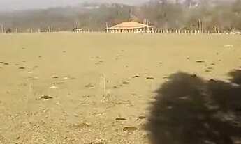 Imagem 4: Terreno em Cesário Lange com 3946m2