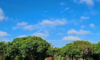Imagem 4: VENDO ÁREA SAO JOÃO DA BARRA