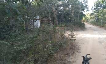 Imagem 3: Terreno para chácara