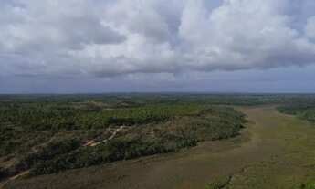 Imagem 4: Fazenda Mista em Conde -BA