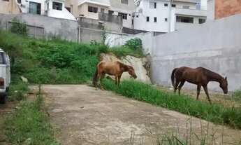 Imagem 7: Terreno à venda, Campestre - Santo André/SP