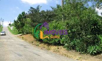 Imagem: AREA - LARANJA AZEDA - SP