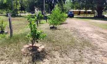 Imagem 5: Chácara para Venda e Locação, Barão Melgaço , Barão de Melgaço, MT