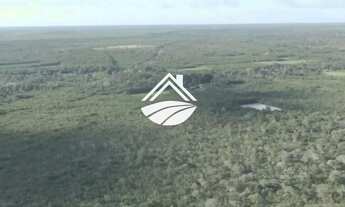 Imagem 7: Fazenda para Venda em São Luís, MATOPIBA